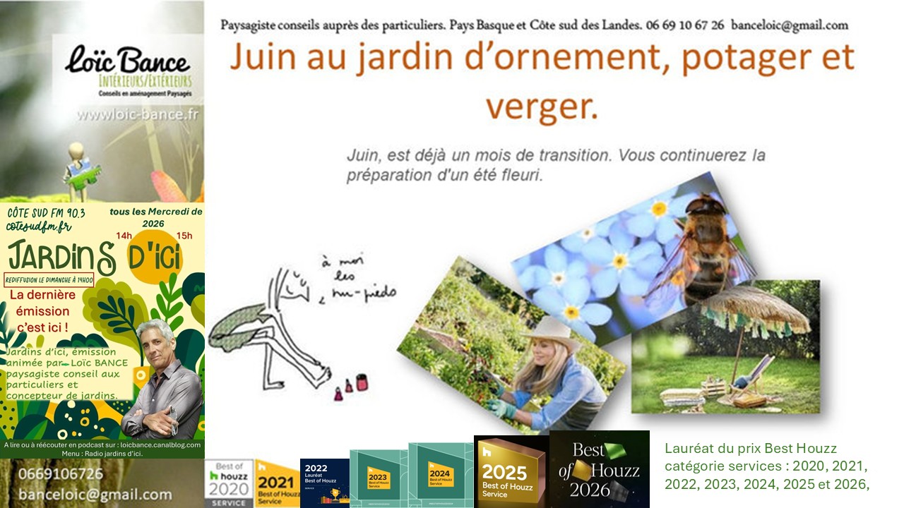 Les travaux de juin 2026 au jardin d'ornement, potager ou fruitier. Paysagiste Capbreton