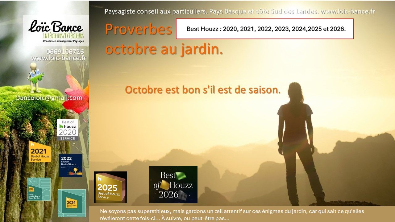 Proverbes d'octobre au jardin par Paysagiste Capbreton