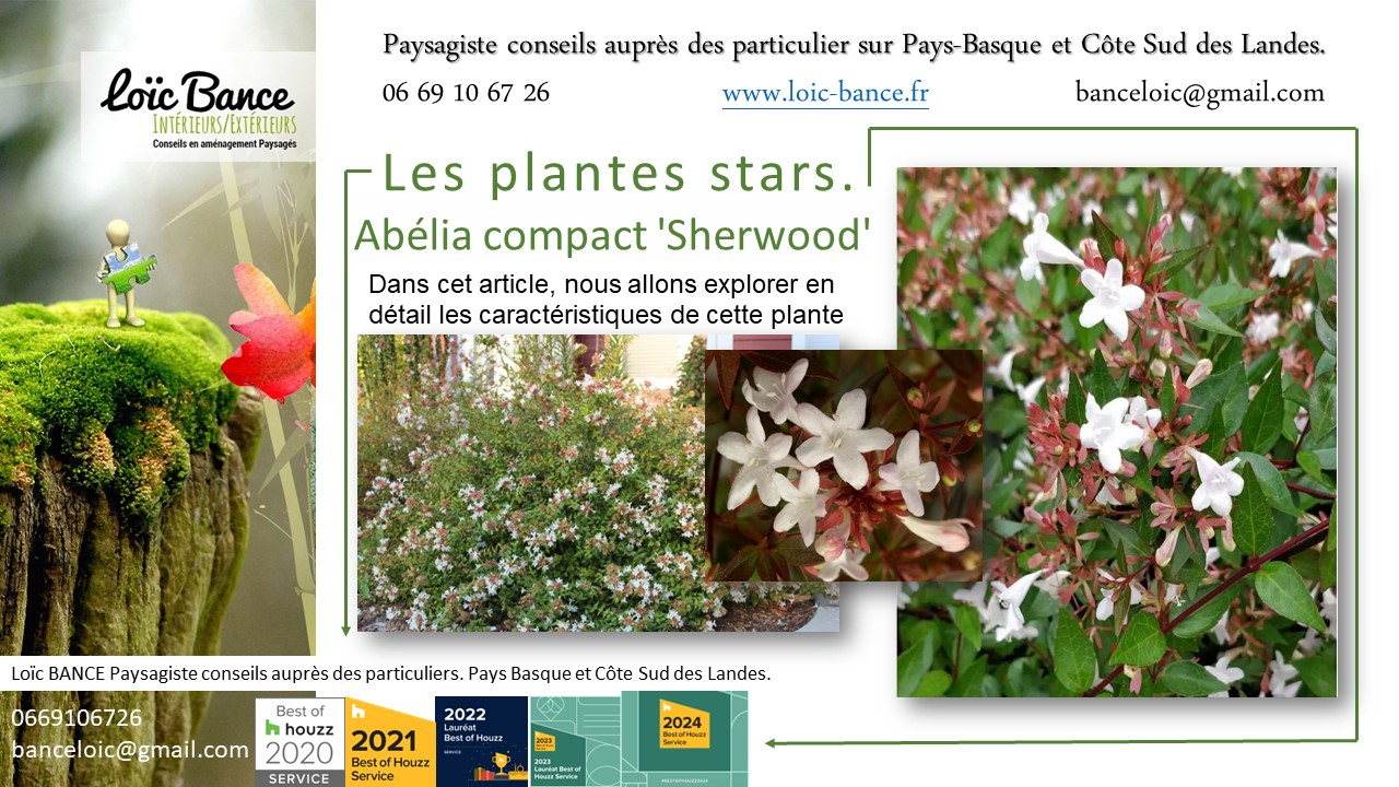 Paysagiste Pays Basque; Paysagiste Landes; Paysagiste conseil; Landes; Ahetze; Anglet; Arbonne; Arcangues; Bayonne; Biarritz; Capbreton; 