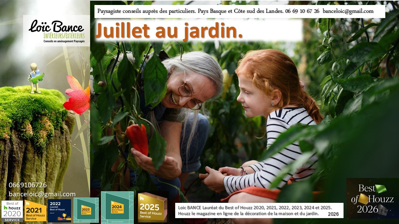 Juillet au jardin par Capbreton paysage