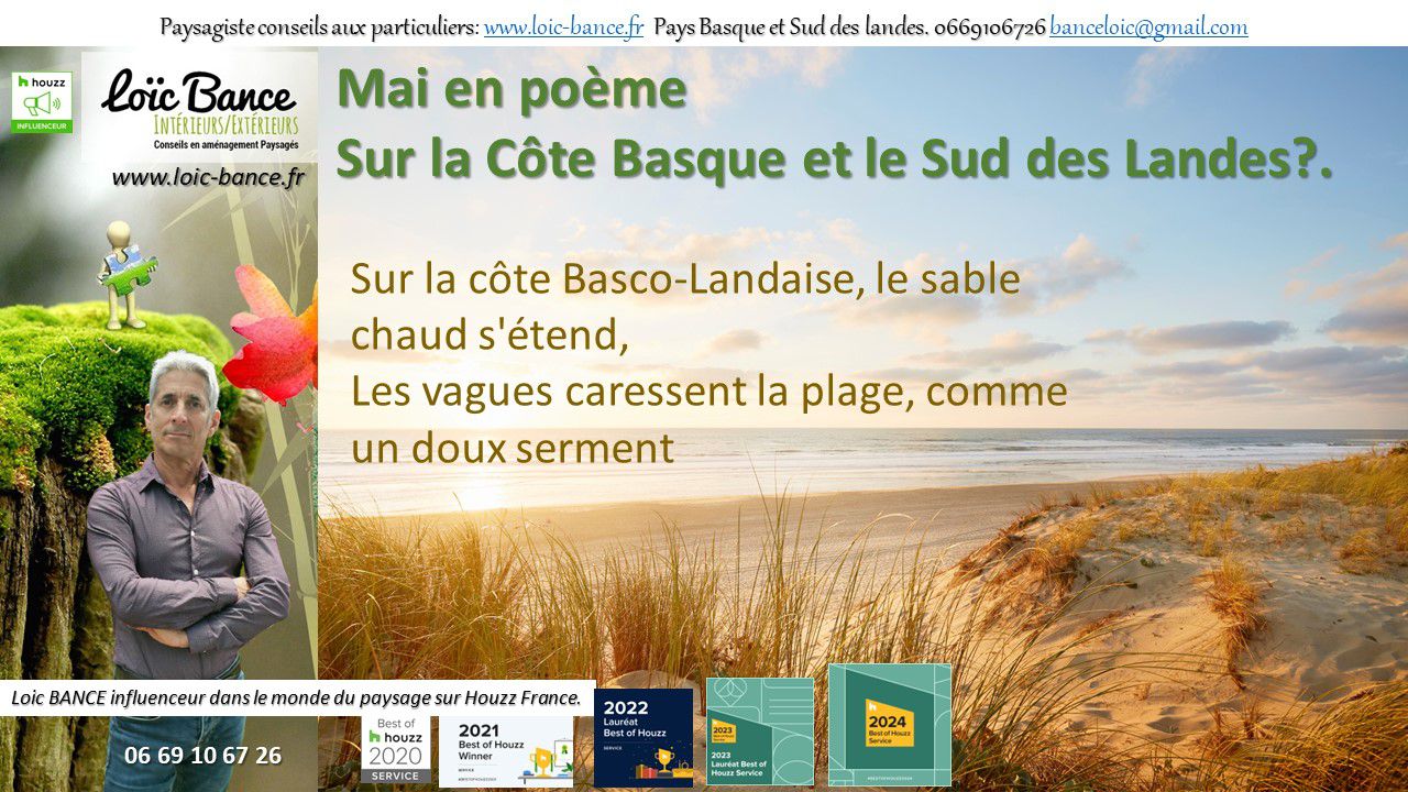 paysages; Landes; Pays Basque; Paysagiste Pays Basque; Paysagiste Landes; Amnagements paysagers; Loc BANCE; Concepteur de jardin; 